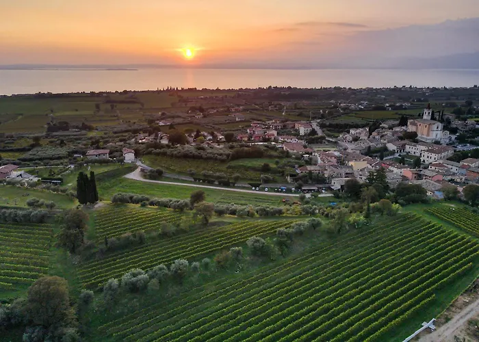 Villa Calicantus
