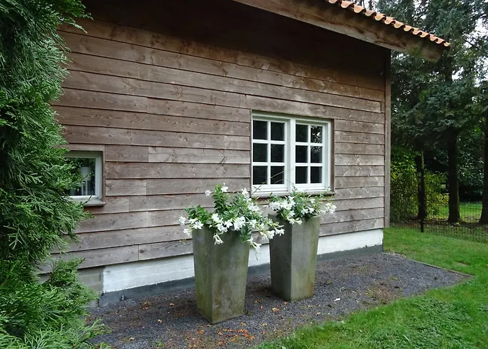 Forest , Kaatsheuvel