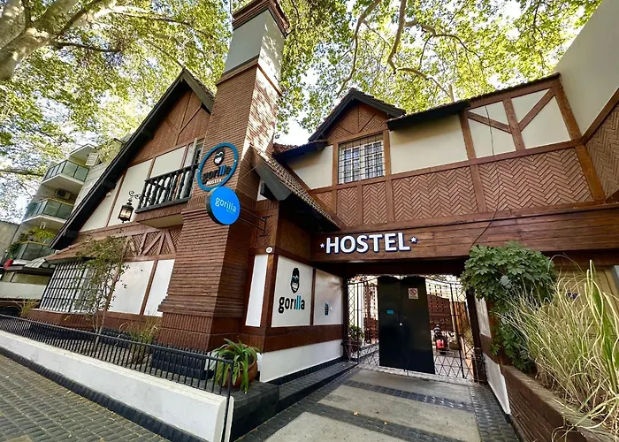The Hostels Gorilla
