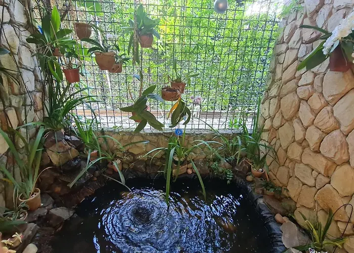  Pousada Palmeira Imperial