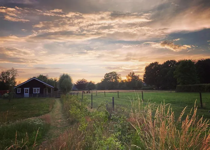 Buitenhuisje B&B De Veldweg
