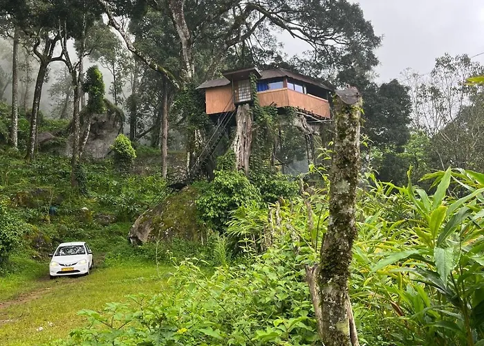Campsite: Tree House Munnar