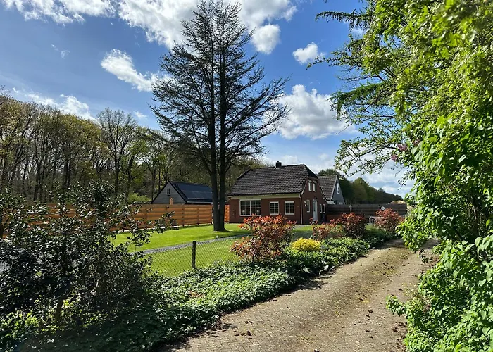 ‘t Bosrandje