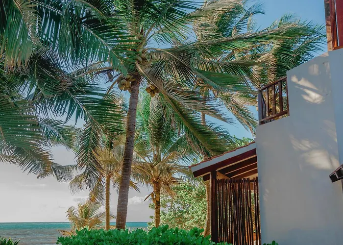 Casa Colibri Tankah