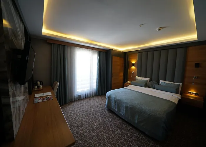 Green Prusa Hotel