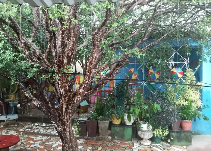 Aluguéis de temporada: Hostel Jabuticaba Bh