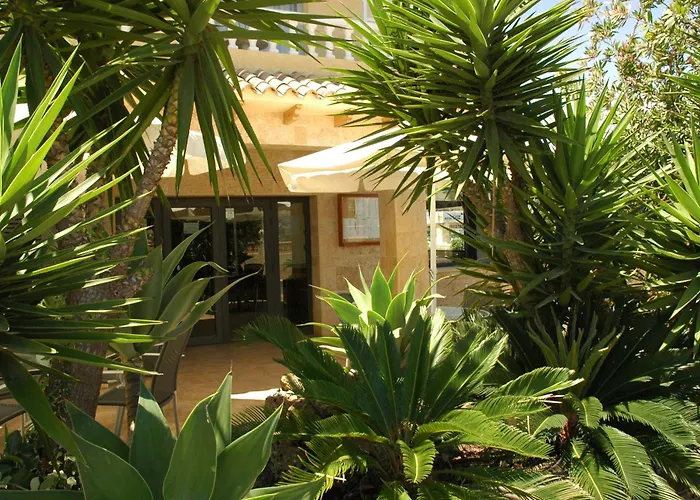  Noguera El Albir