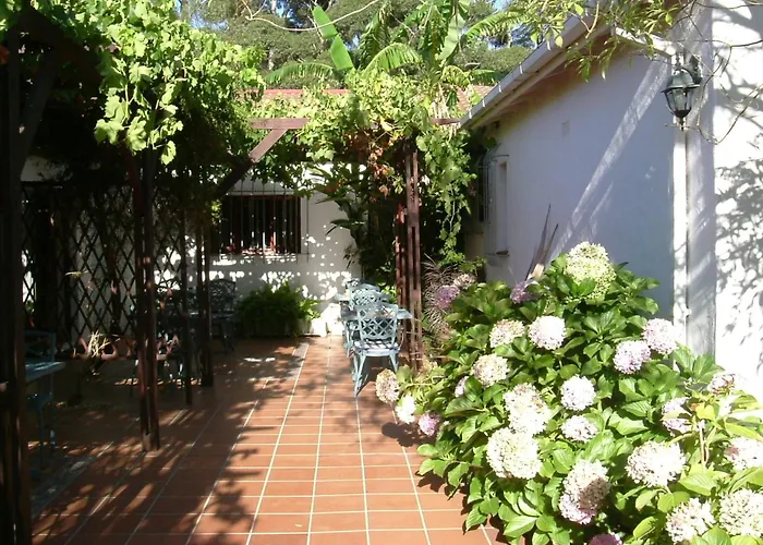 Vine Guesthouse