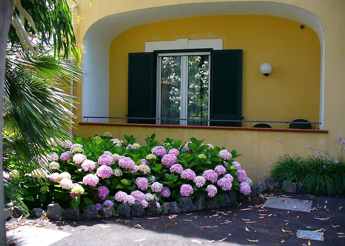 Resort: Hotel La Marticana