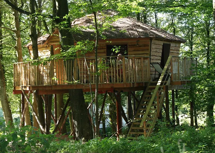 B&B: B&B La Cabane Du Bois Dormant