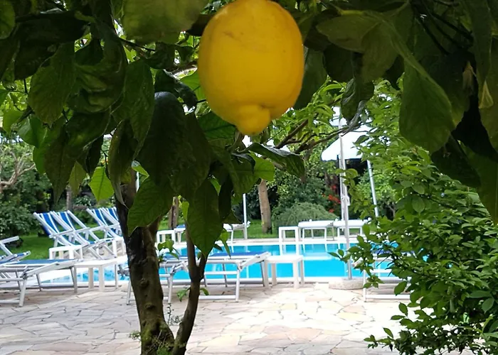 Cheap hotel: Hotel Tourist