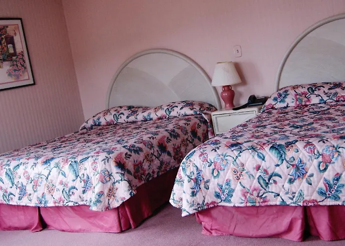 Motel: Meadow Court Inn - Ithaca