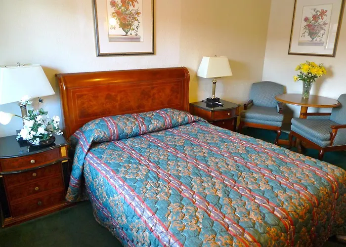 Trip to College Budget Inn Morgan Hill