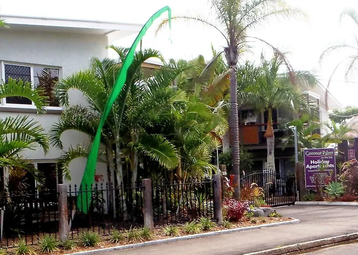 Coconut Palms On The Bay