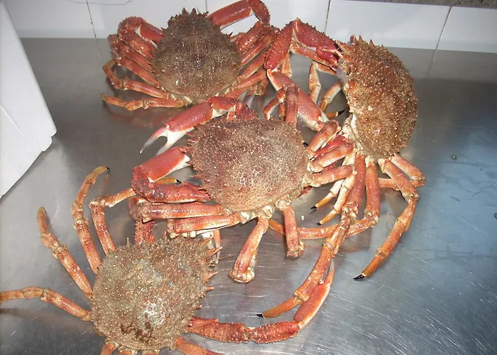 Albergo centrale: Ai Campi Di Marcello Hotel