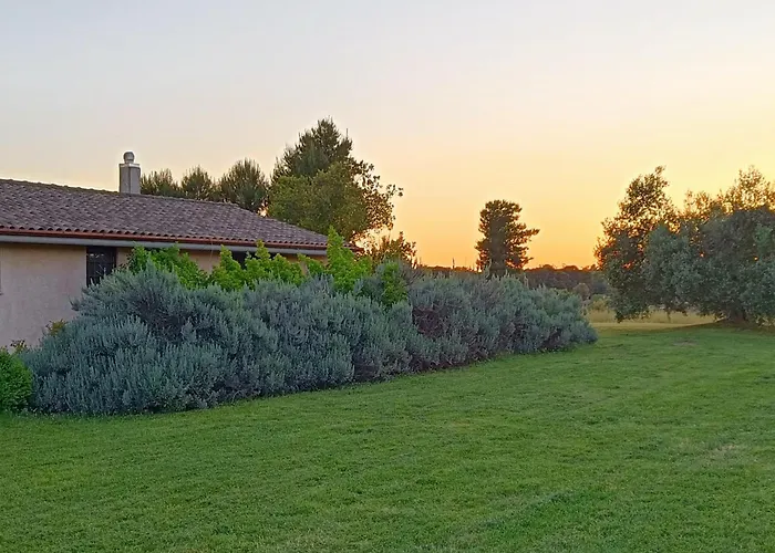 La villa: Agriturismo Fontelupo