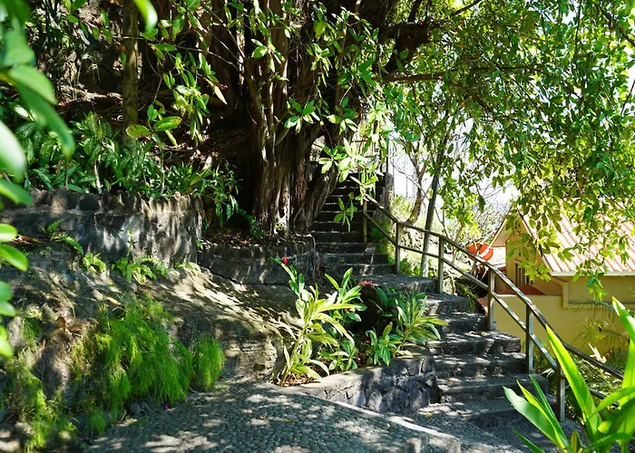 Family Hotel: Casa De Mar Hotel And Villas