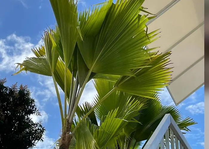 Hotel near College: Mar Baltico