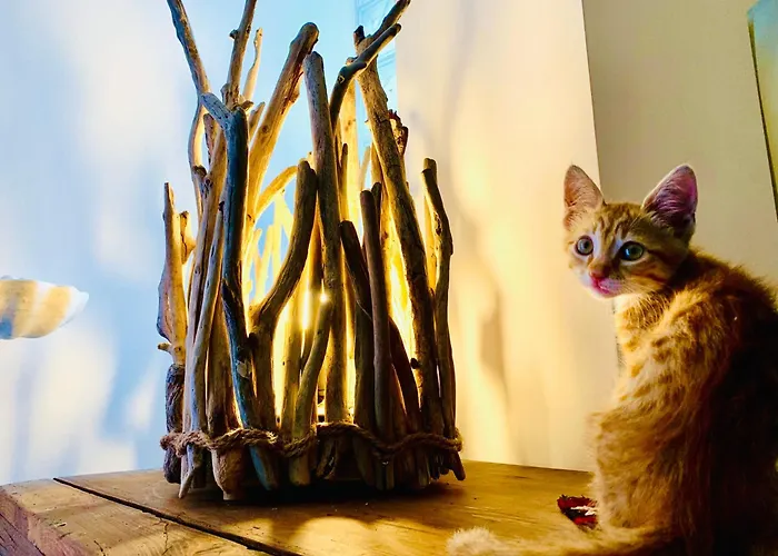 Hotel all'aeroporto: Le Stanze Del Brigante