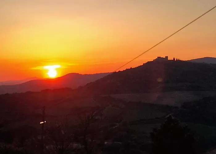 Grossola