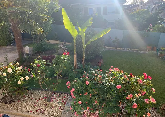 La maison parisienne&jardin