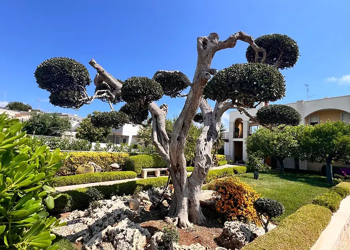 B&B La Rosa Blu