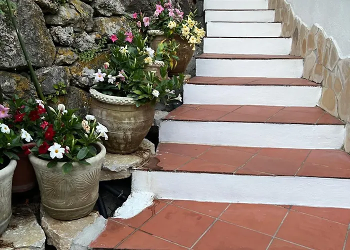 Le Tre Rose