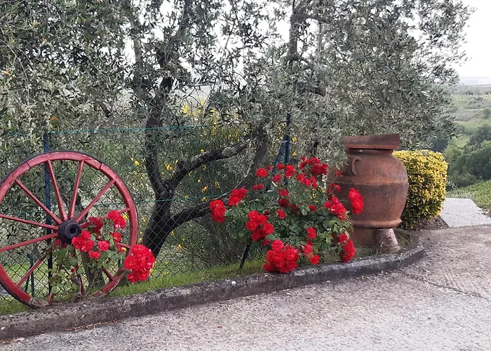 I Coppi