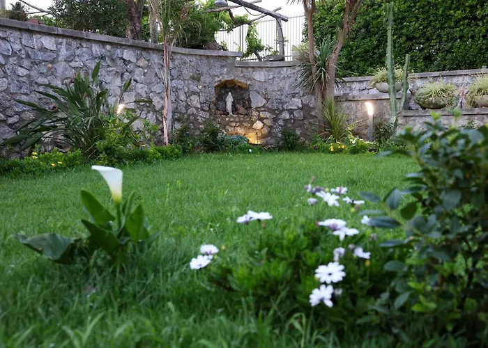  Dream Garden