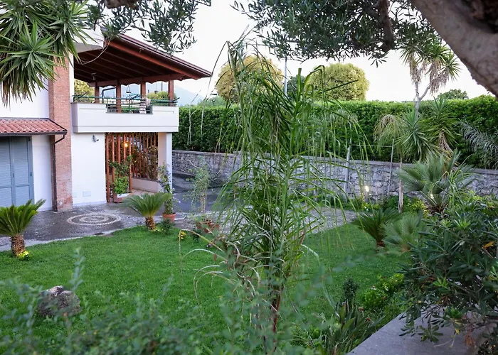  Dream Garden