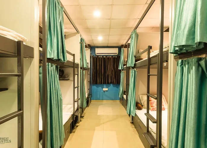 Hotel near College: Forrest Hostels