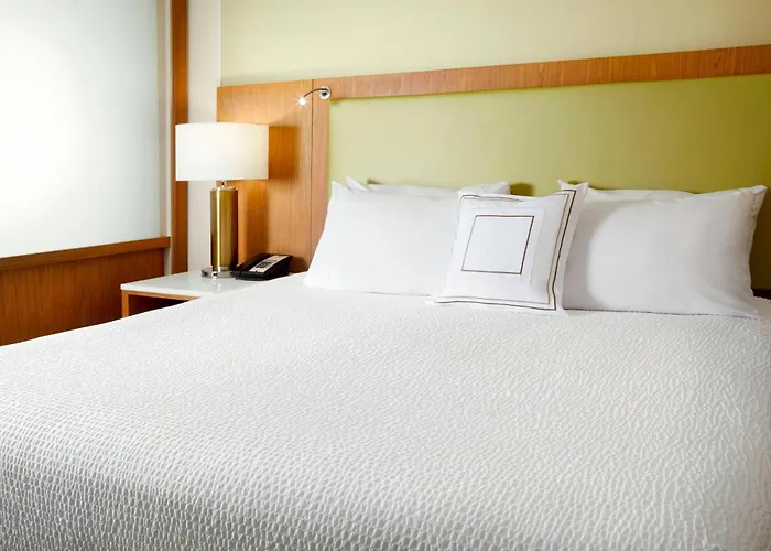 Springhill Suites By Marriott Pittsburgh Bakery Square