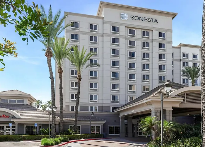 Sonesta Resort Area