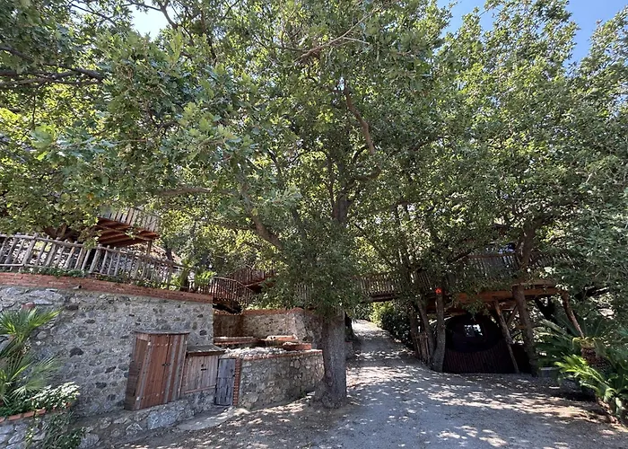Hotel di lusso: Le casette sull'albero di VILLA ALBA