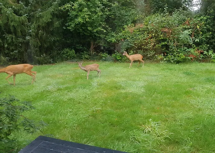 Natuurhuis Drents-Friese Wold