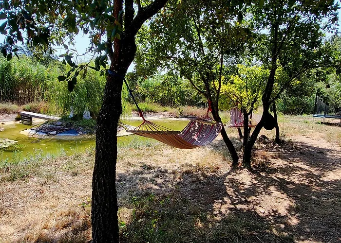 Hotel familiar: Quinta Da Choupana