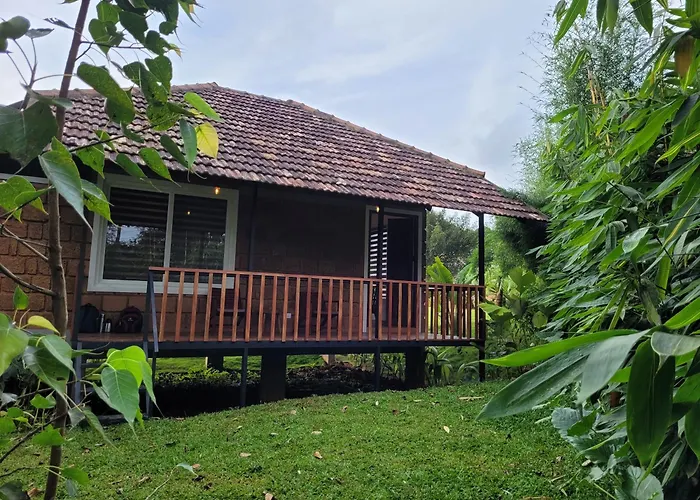 Aalterra By The Almanac