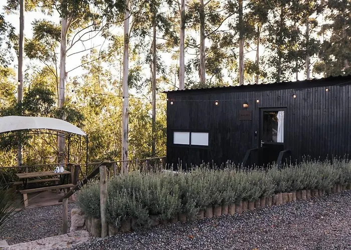 Woody Cabanas