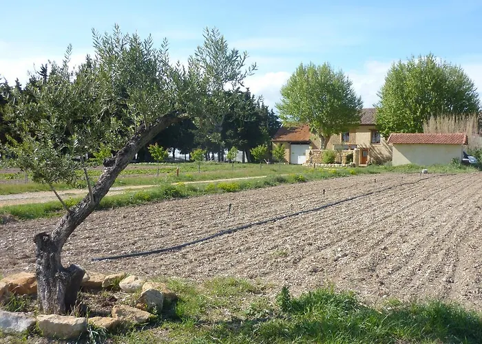 La Ferme Du Midi