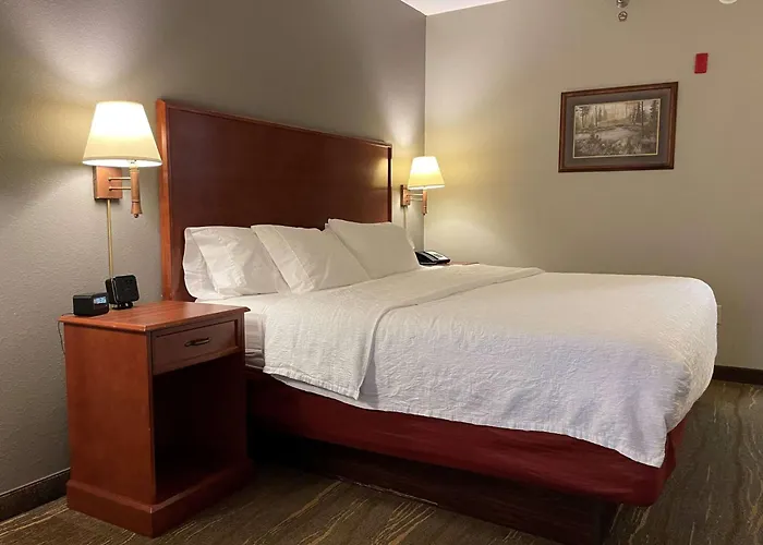 Jacuzzi hotel: Southshore Hotel On Lake Bemidji, Trademark Coll By Wyndham