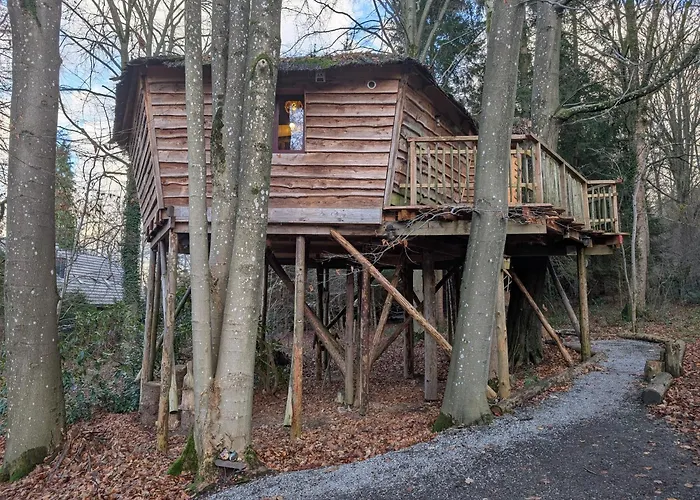 B&B: B&B La Cabane Du Bois Dormant