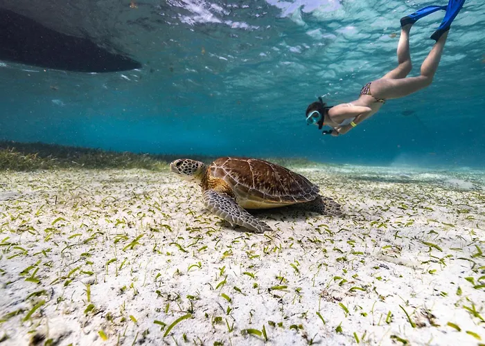 Cheap hotel: Ocean Tide Beach Resort