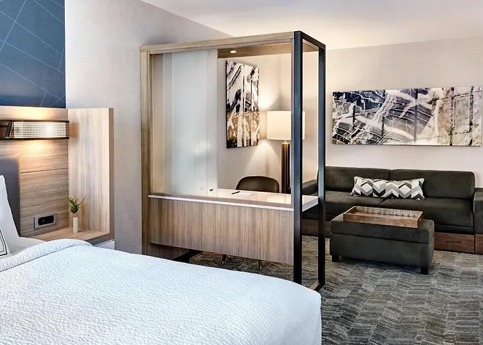 Family Hotel: Springhill Suites By Marriott Cleveland Independence