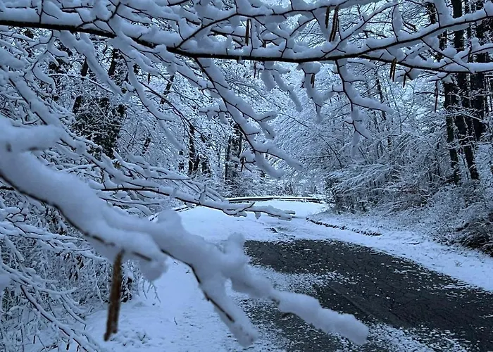 Casa degli ospiti: Il Cottage