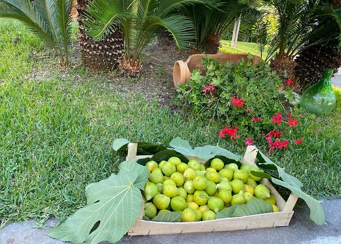 Resort: Hotel Boutique Ideal