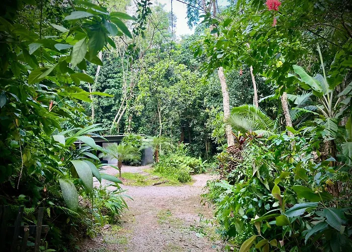Nui Contêiner - Refúgio Natural no Rio de Janeiro