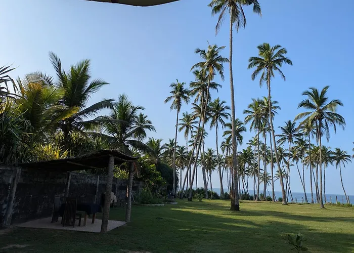 Familiehotel: Coconut Tree Hill Rekawa