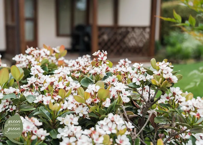 E Agricamping Le Nosare