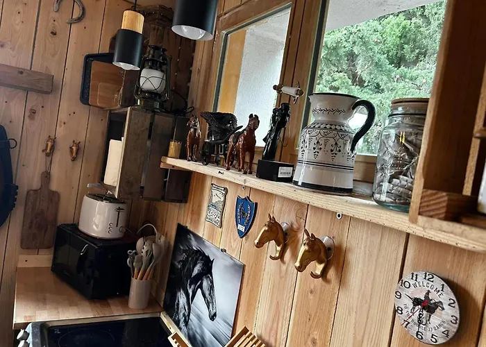 Les Chambres de Paulette à Thème LE RANCH