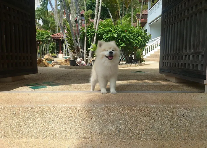 Samui Little Garden Resort